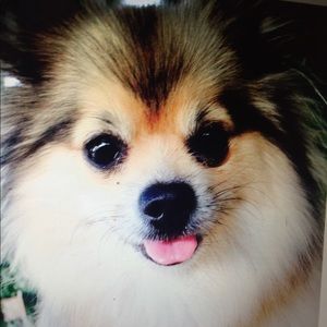 Meet your Posher, Alejandro